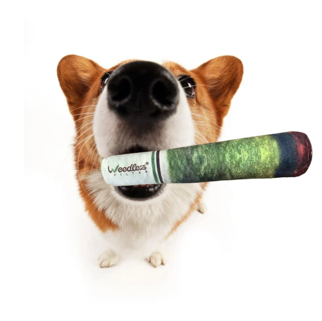 SMOKN`DOG TOY